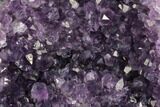 Tall Dark Purple Amethyst Cluster With Wood Base - Uruguay #185706-2